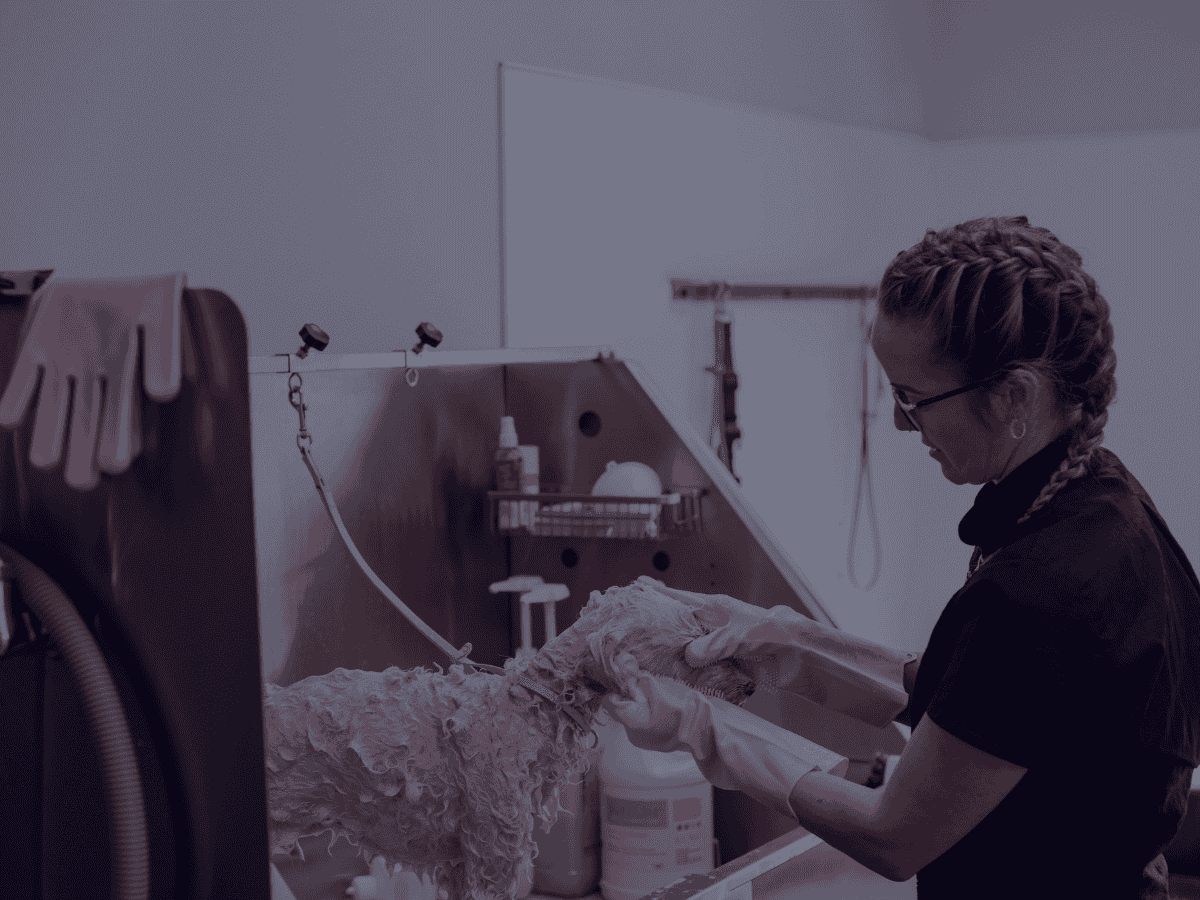 Vet Practice Growth & Community Engagement